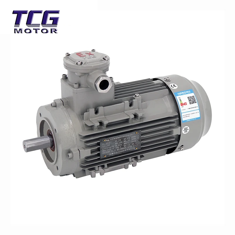 Ex d IIC T4 محرك مقاوم للانفجار B14 شفة صغيرة