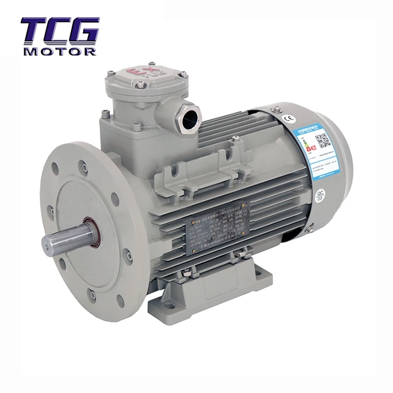 Ex d IIC T4 محرك مقاوم للانفجار B35 قدم