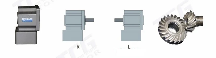 GR Series Hollow Shaft Right Angle Gear Reducer